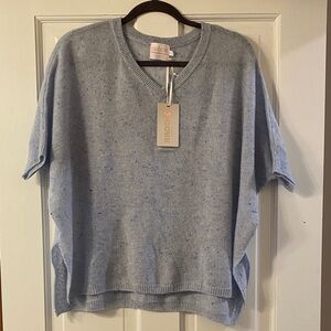 Brodie Cashmere Light Blue V-Neck Sweater